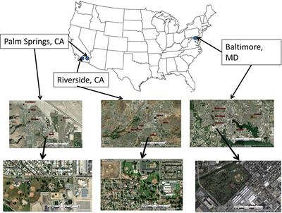 Influence of Climate and Management on Patterns of Taxonomic and Functional Diversity of Recreational Park Vegetation